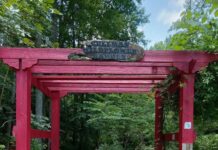 Cullman’s Wildflower Garden: A hidden utopia