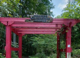 Cullman’s Wildflower Garden: A hidden utopia