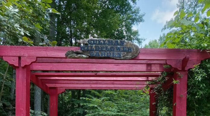 Cullman’s Wildflower Garden: A hidden utopia