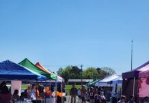 Cullman Family Expo a roaring success