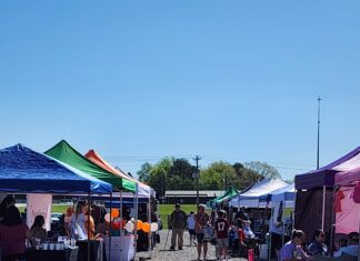 Cullman Family Expo a roaring success