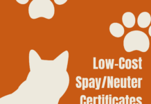 Low-cost spay/neuter certificates available