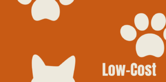 Low-cost spay/neuter certificates available