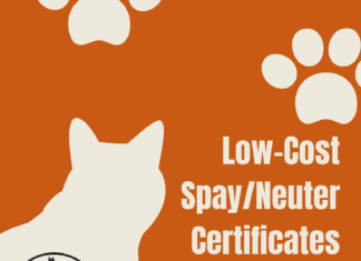 Low-cost spay/neuter certificates available