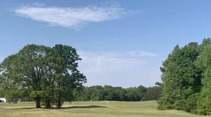 Chesley Oaks Open returning after multiyear hiatus