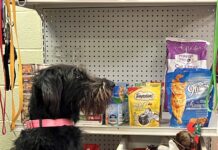 ‘We need the support of our community’