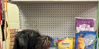 ‘We need the support of our community’