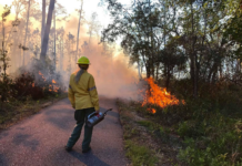 Public support of conservation efforts at State Parks improve natural habitats for wildlife and visitors