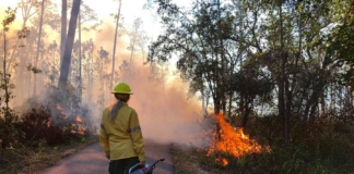 Public support of conservation efforts at State Parks improve natural habitats for wildlife and visitors