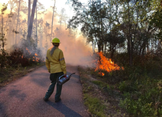 Public support of conservation efforts at State Parks improve natural habitats for wildlife and visitors