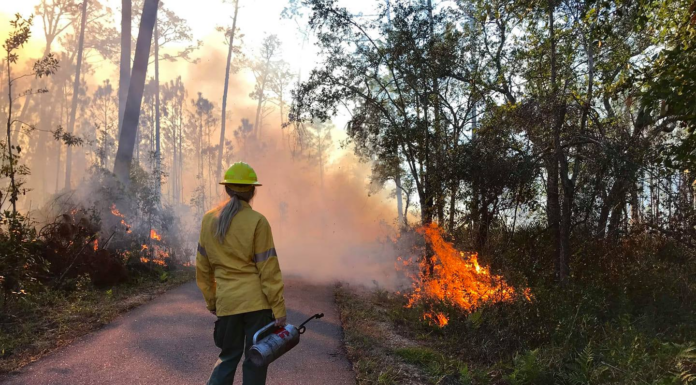Public support of conservation efforts at State Parks improve natural habitats for wildlife and visitors