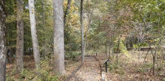 Sportsman Lake Park lands on Alabama Birding Trails