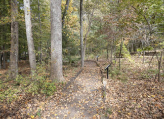 Sportsman Lake Park lands on Alabama Birding Trails