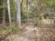 Sportsman Lake Park lands on Alabama Birding Trails