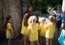 Make the most of summer: Area programs