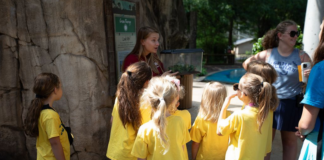 Make the most of summer: Area programs