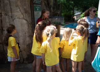 Make the most of summer: Area programs