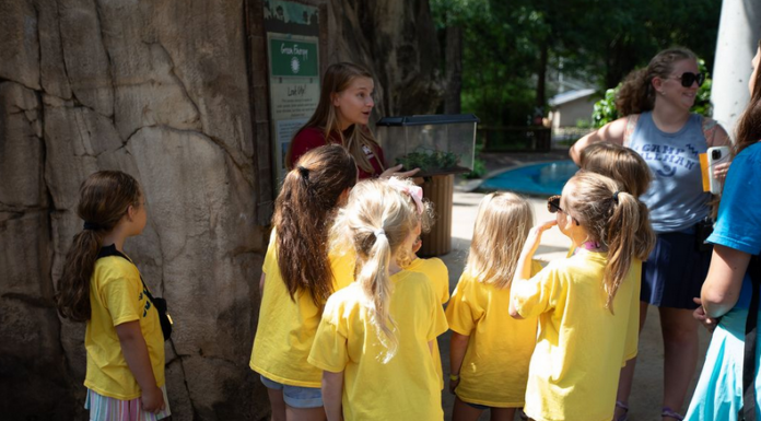 Make the most of summer: Area programs