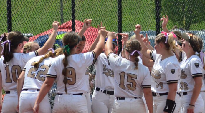 PREP SOFTBALL: Cullman eliminated from North Regional with 6-3 loss to Buckhorn