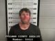 (Updated) 2 CPD officers involved in wreck, 1 suspect arrested after pursuit Dustin Seth Eddleman (Cullman Police Department)