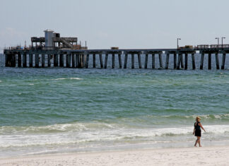 Gulf State Park Pier repairs reach milestone