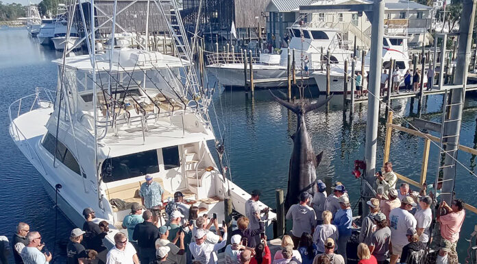 Alabama saltwater records continue to fall