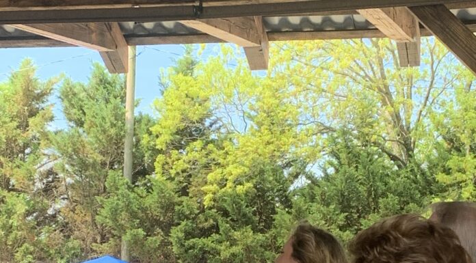 Swingin’ seniors turn out for Alabama Strawberry Festival Senior Day