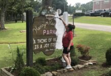 Vinemont Town Council announces Henry & Roe Wood Park cleanup day, Senior Citizens Day