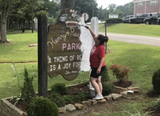 Vinemont Town Council announces Henry & Roe Wood Park cleanup day, Senior Citizens Day