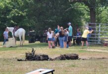 Join the 2nd annual Picnic with Ponies May 18