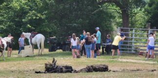 Join the 2nd annual Picnic with Ponies May 18