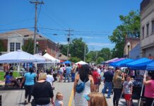 Cheese, cheese and more cheese!