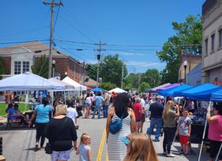 Cheese, cheese and more cheese!