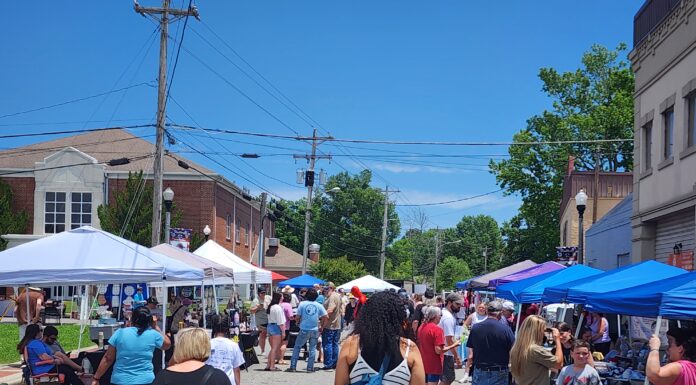 Cheese, cheese and more cheese!