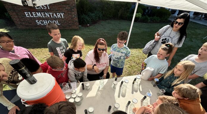 STEM Day – it’s elementary!