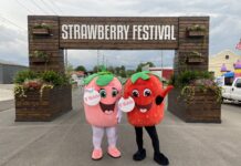 Alabama Strawberry Festival underway