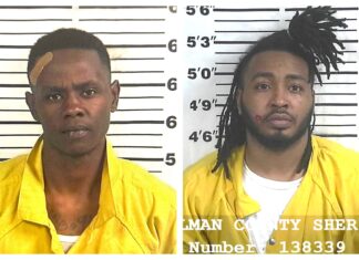 2 arrested following crash, pursuit Antonio Dequan Hasberry and Diaundre Rashad Perez (Cullman Police Department)