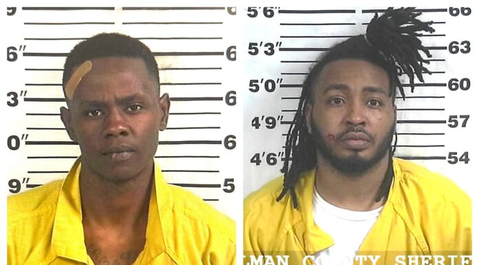 2 arrested following crash, pursuit Antonio Dequan Hasberry and Diaundre Rashad Perez (Cullman Police Department)