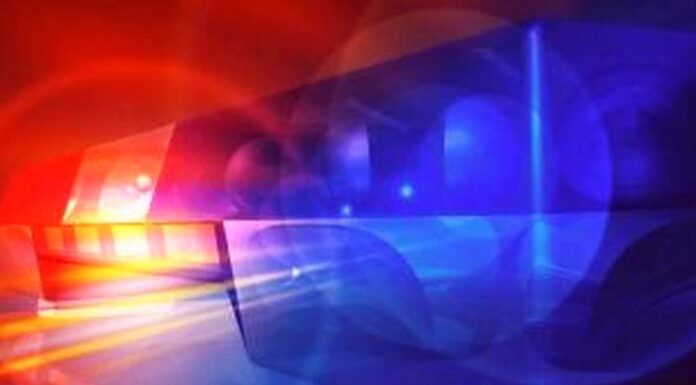 Woman dies after being struck by vehicle in Cullman