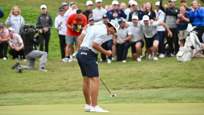 resize - 2024-05-29T103740.713