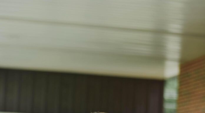 PREP SPORTS: ‘Keep God first, and never stop trusting Him’: Cold Springs’ Ciara Calvert talks Eagle years