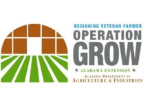 ACES: Operation Grow for Military Veterans