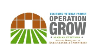 ACES: Operation Grow for Military Veterans