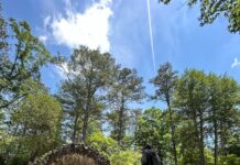 Ave Maria Grotto, St. Bernard Abbey announce major restoration project