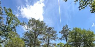 Ave Maria Grotto, St. Bernard Abbey announce major restoration project