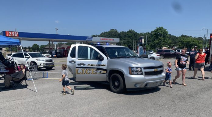 South Cullman Walmart car show raises funds for Children’s Miracle Network