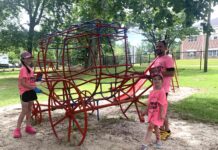 Vinemont’s Henry and Roe Wood Park gets a facelift