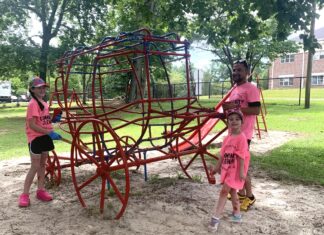 Vinemont’s Henry and Roe Wood Park gets a facelift