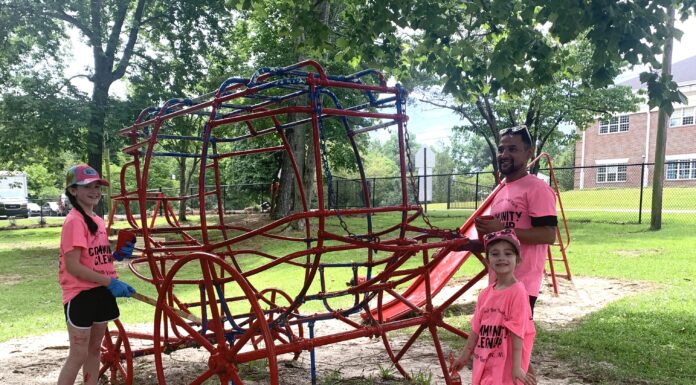 Vinemont’s Henry and Roe Wood Park gets a facelift