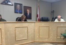 Seniors, BBQ and fireworks, OH MY! Vinemont council discusses upcoming events